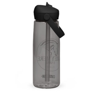 Greymere Flip straw water bottle