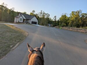 Horse-friendly riding area at Greymere Farm