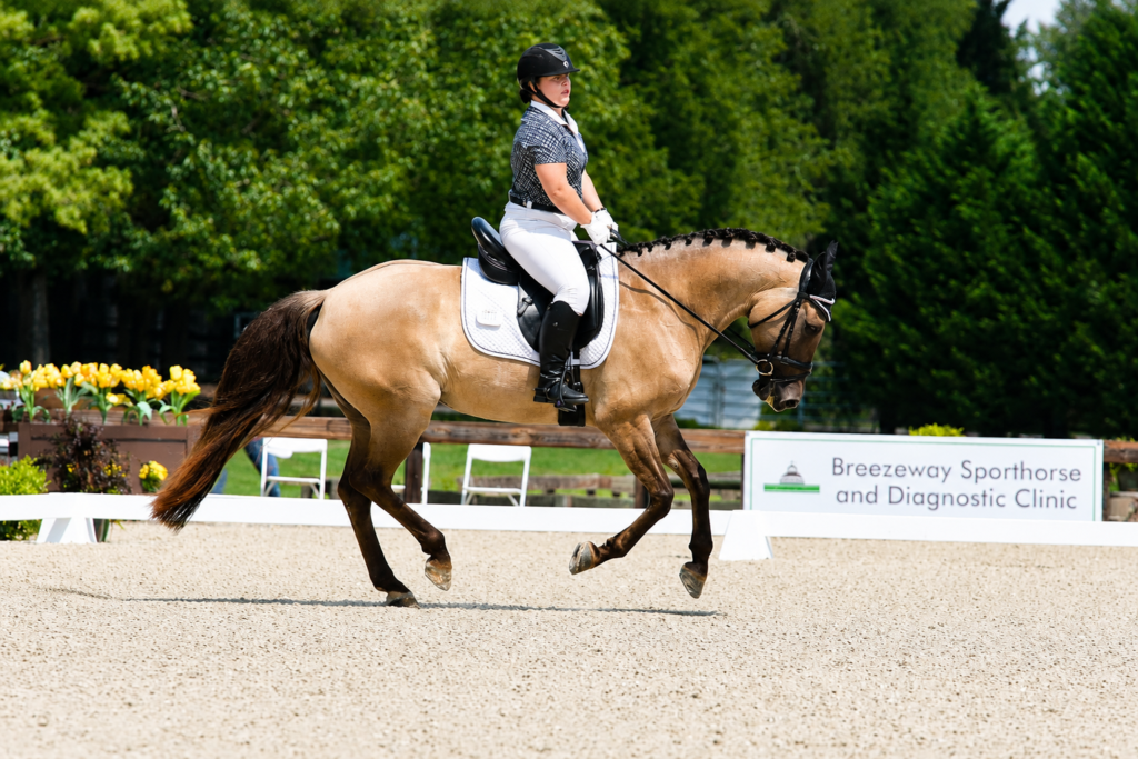 Competing in dressage competition