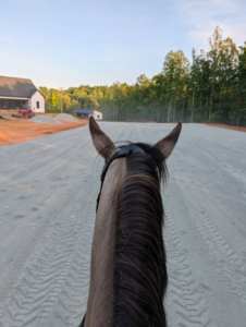 View from horseback in completed outdoor dressage arena at Greymere Farm